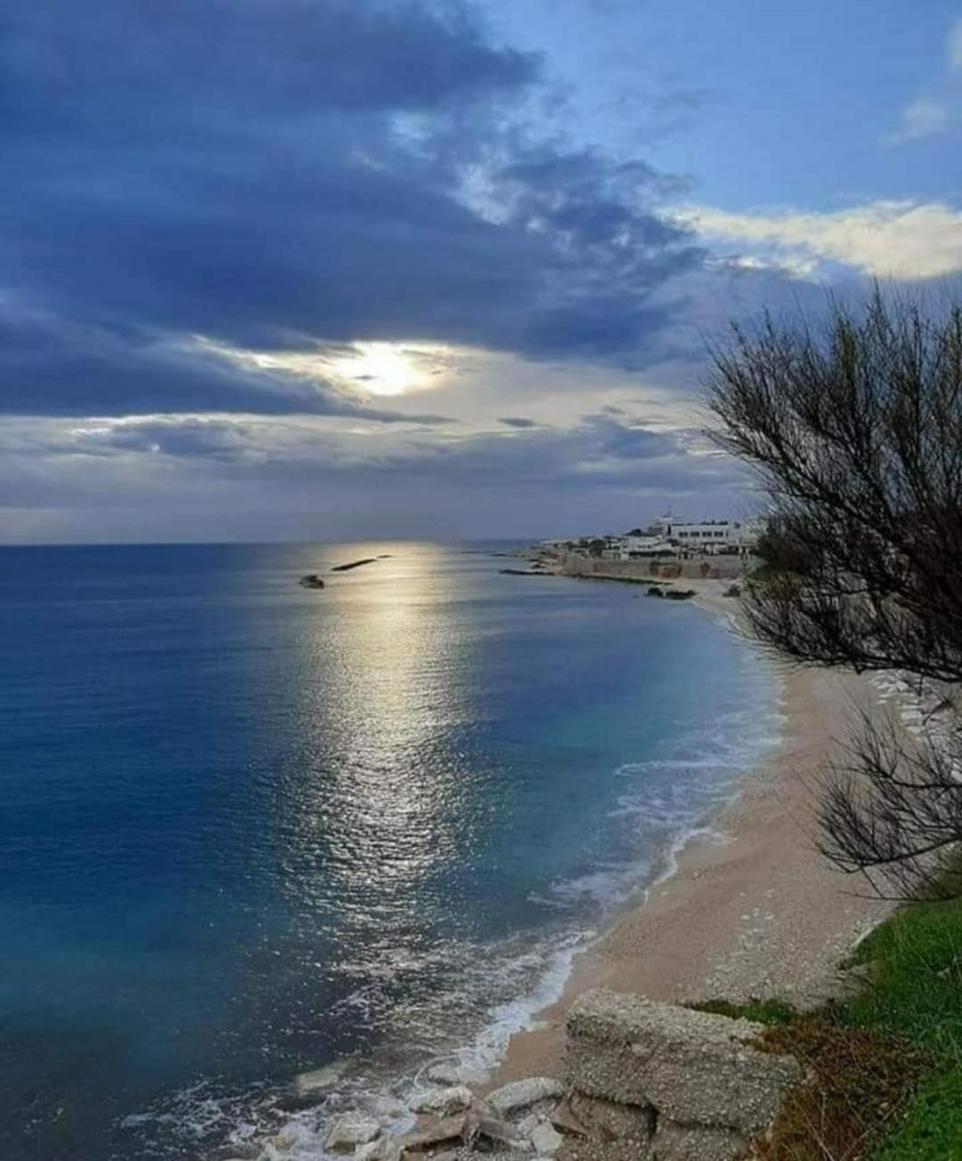 Alle Volte… Bisceglie Esterno foto
